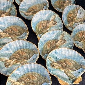 Decorative scallop shells- 3 pack!
